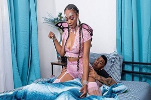 Asteria Diamond – The Morning Wooden Fairy