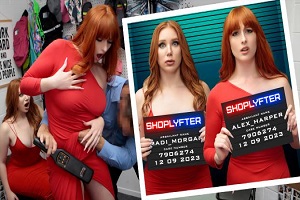 Madison Morgan & Alex Harper – Case No. 7906274 – Double Bother Thieves
