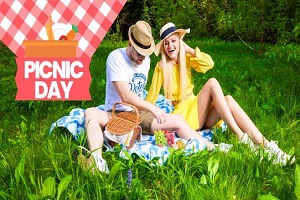 Novella Night time – Picnic day