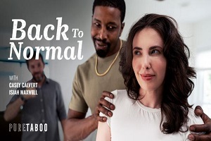 Casey Calvert – Again To Regular
