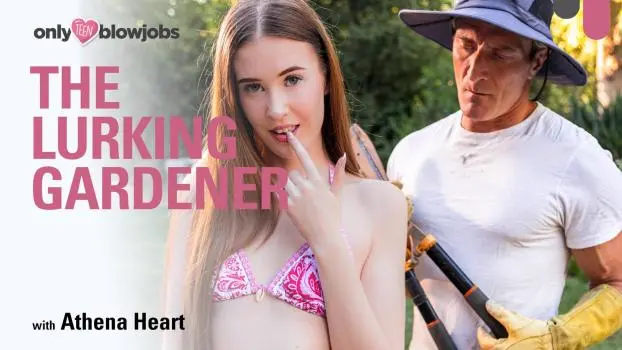 Athena Coronary heart – The Lurking Gardener